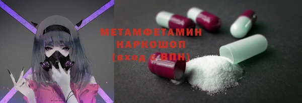 прущие грибы Балабаново