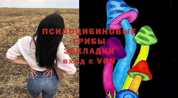 прущие грибы Балабаново