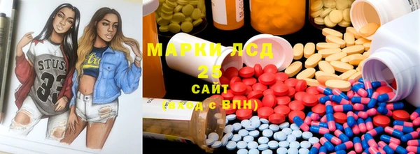прущие грибы Балабаново