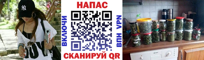 наркотики  Подпорожье  Шишки марихуана марихуана 